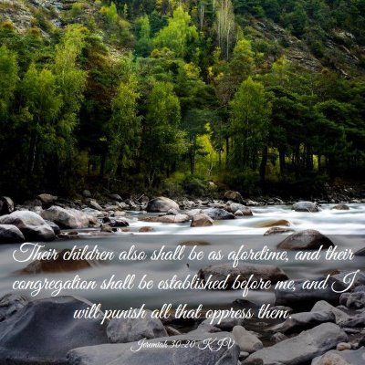Picture 03 - Jeremiah 30:20 KJV - Their children also shall be as aforetime, and - Bible Verse Picture