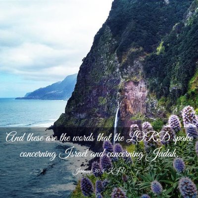 Picture 03 - Jeremiah 30:4 KJV - And these are the words that the LORD spake - Bible Verse Picture