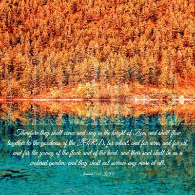 Picture 03 - Jeremiah 31:12 KJV - Therefore they shall come and sing in the height - Bible Verse Picture