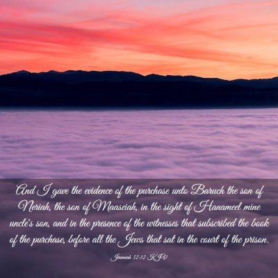 Picture 03 - Jeremiah 32:12 KJV - And I gave the evidence of the purchase unto - Bible Verse Picture