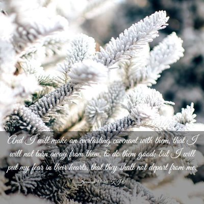 Picture 03 - Jeremiah 32:40 KJV - And I will make an everlasting covenant with - Bible Verse Picture