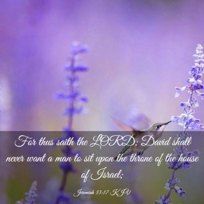 Picture 03 - Jeremiah 33:17 KJV - For thus saith the LORD; David shall never want a - Bible Verse Picture