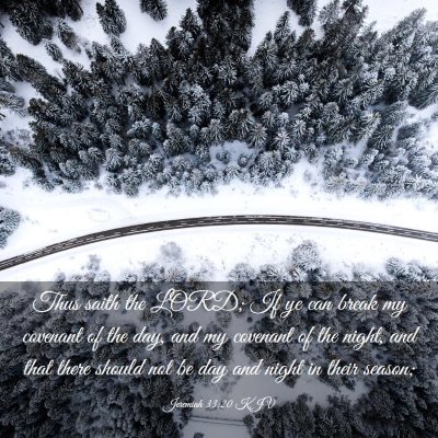 Picture 03 - Jeremiah 33:20 KJV - Thus saith the LORD; If ye can break my covenant - Bible Verse Picture