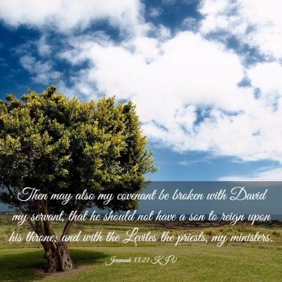 Picture 03 - Jeremiah 33:21 KJV - Then may also my covenant be broken with David my - Bible Verse Picture