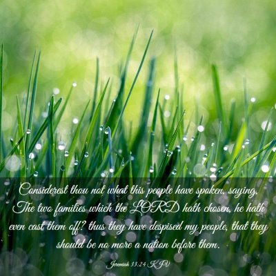 Picture 03 - Jeremiah 33:24 KJV - Considerest thou not what this people have - Bible Verse Picture