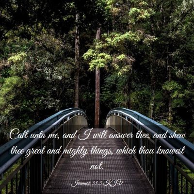 Picture 03 - Jeremiah 33:3 KJV - Call unto me, and I will answer thee, and shew - Bible Verse Picture