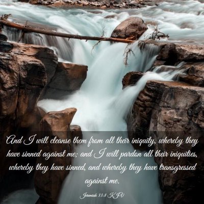 Picture 03 - Jeremiah 33:8 KJV - And I will cleanse them from all their iniquity, - Bible Verse Picture