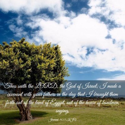 Picture 03 - Jeremiah 34:13 KJV - Thus saith the LORD, the God of Israel; I made a - Bible Verse Picture