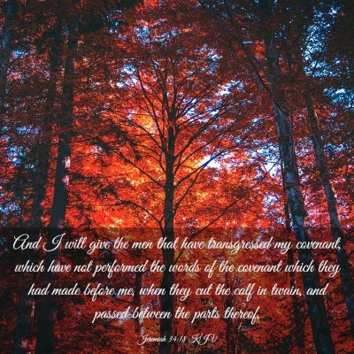 Picture 03 - Jeremiah 34:18 KJV - And I will give the men that have transgressed my - Bible Verse Picture