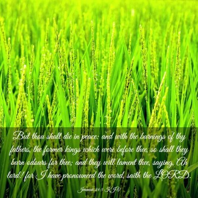 Picture 03 - Jeremiah 34:5 KJV - But thou shalt die in peace: and with the - Bible Verse Picture