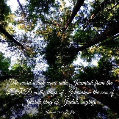 Picture 03 - Jeremiah 35:1 KJV - The word which came unto Jeremiah from the LORD - Bible Verse Picture