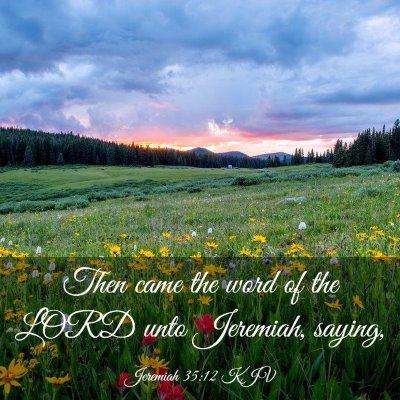 Picture 03 - Jeremiah 35:12 KJV - Then came the word of the LORD unto Jeremiah, - Bible Verse Picture