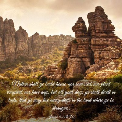 Picture 03 - Jeremiah 35:7 KJV - Neither shall ye build house, nor sow seed, nor - Bible Verse Picture