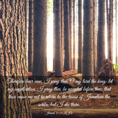 Picture 03 - Jeremiah 37:20 KJV - Therefore hear now, I pray thee, O my lord the - Bible Verse Picture