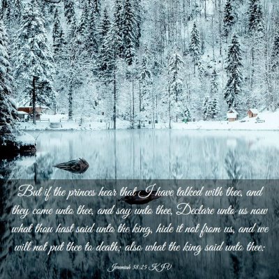 Picture 03 - Jeremiah 38:25 KJV - But if the princes hear that I have talked with - Bible Verse Picture