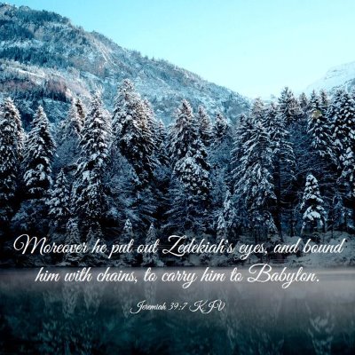 Picture 03 - Jeremiah 39:7 KJV - Moreover he put out Zedekiah's eyes, and bound - Bible Verse Picture