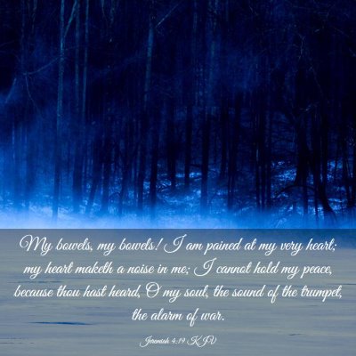 Picture 03 - Jeremiah 4:19 KJV - My bowels, my bowels! I am pained at my very - Bible Verse Picture