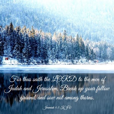 Picture 03 - Jeremiah 4:3 KJV - For thus saith the LORD to the men of Judah and - Bible Verse Picture
