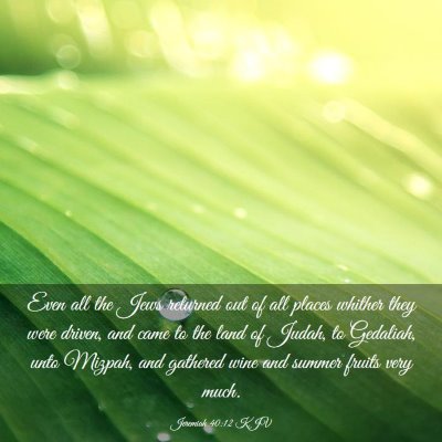 Picture 03 - Jeremiah 40:12 KJV - Even all the Jews returned out of all places - Bible Verse Picture