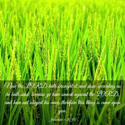 Picture 03 - Jeremiah 40:3 KJV - Now the LORD hath brought it, and done according - Bible Verse Picture