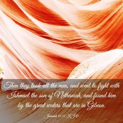 Picture 03 - Jeremiah 41:12 KJV - Then they took all the men, and went to fight - Bible Verse Picture