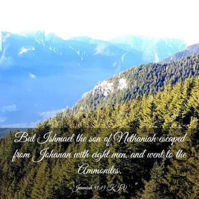 Picture 03 - Jeremiah 41:15 KJV - But Ishmael the son of Nethaniah escaped from - Bible Verse Picture