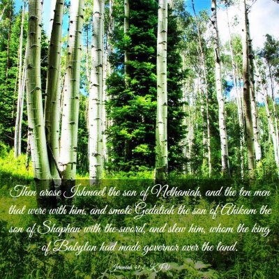 Picture 03 - Jeremiah 41:2 KJV - Then arose Ishmael the son of Nethaniah, and the - Bible Verse Picture