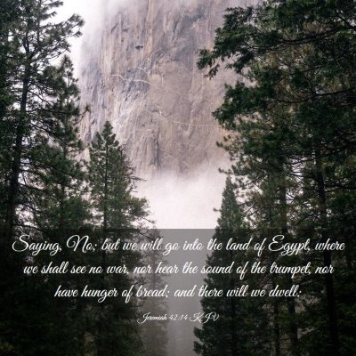 Picture 03 - Jeremiah 42:14 KJV - Saying, No; but we will go into the land of - Bible Verse Picture
