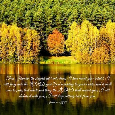 Picture 03 - Jeremiah 42:4 KJV - Then Jeremiah the prophet said unto them, I have - Bible Verse Picture