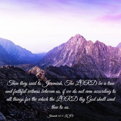 Picture 03 - Jeremiah 42:5 KJV - Then they said to Jeremiah, The LORD be a true - Bible Verse Picture