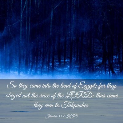 Picture 03 - Jeremiah 43:7 KJV - So they came into the land of Egypt: for they - Bible Verse Picture
