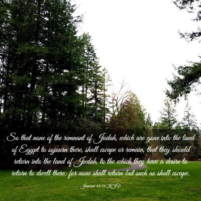 Picture 03 - Jeremiah 44:14 KJV - So that none of the remnant of Judah, which are - Bible Verse Picture
