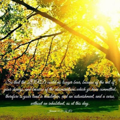 Picture 03 - Jeremiah 44:22 KJV - So that the LORD could no longer bear, because of - Bible Verse Picture