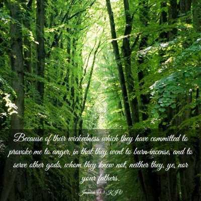 Picture 03 - Jeremiah 44:3 KJV - Because of their wickedness which they have - Bible Verse Picture