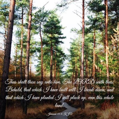 Picture 03 - Jeremiah 45:4 KJV - Thus shalt thou say unto him, The LORD saith - Bible Verse Picture
