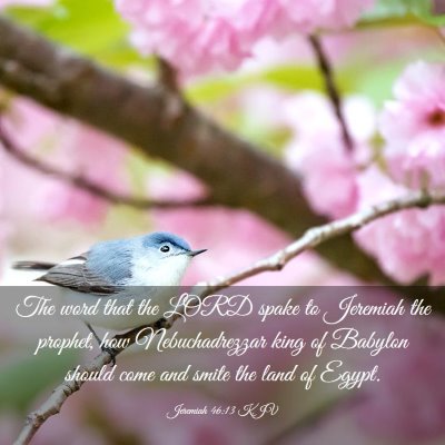 Picture 03 - Jeremiah 46:13 KJV - The word that the LORD spake to Jeremiah the - Bible Verse Picture