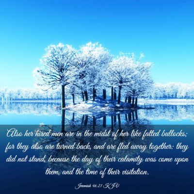 Picture 03 - Jeremiah 46:21 KJV - Also her hired men are in the midst of her like - Bible Verse Picture