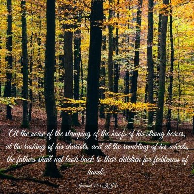 Picture 03 - Jeremiah 47:3 KJV - At the noise of the stamping of the hoofs of his - Bible Verse Picture