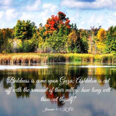 Picture 03 - Jeremiah 47:5 KJV - Baldness is come upon Gaza; Ashkelon is cut off - Bible Verse Picture