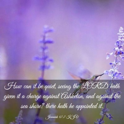 Picture 03 - Jeremiah 47:7 KJV - How can it be quiet, seeing the LORD hath given - Bible Verse Picture