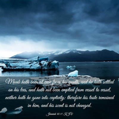 Picture 03 - Jeremiah 48:11 KJV - Moab hath been at ease from his youth, and he - Bible Verse Picture