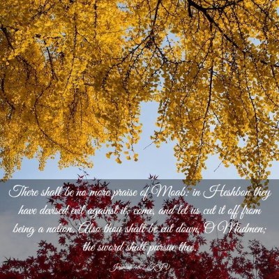Picture 03 - Jeremiah 48:2 KJV - There shall be no more praise of Moab: in Heshbon - Bible Verse Picture