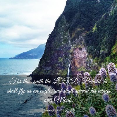 Picture 03 - Jeremiah 48:40 KJV - For thus saith the LORD; Behold, he shall fly as - Bible Verse Picture
