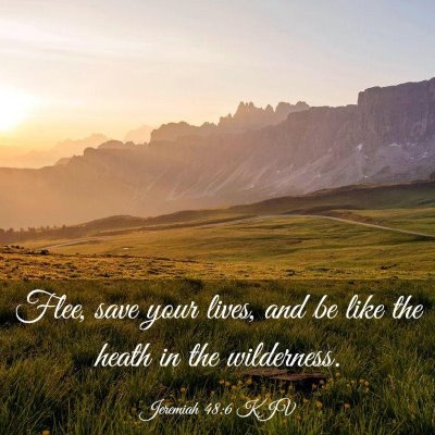Picture 03 - Jeremiah 48:6 KJV - Flee, save your lives, and be like the heath in - Bible Verse Picture