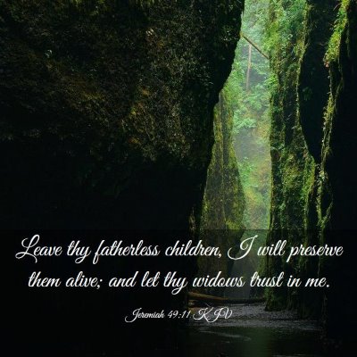 Picture 03 - Jeremiah 49:11 KJV - Leave thy fatherless children, I will preserve - Bible Verse Picture