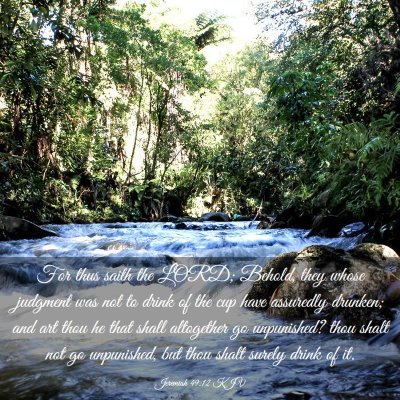 Picture 03 - Jeremiah 49:12 KJV - For thus saith the LORD; Behold, they whose - Bible Verse Picture