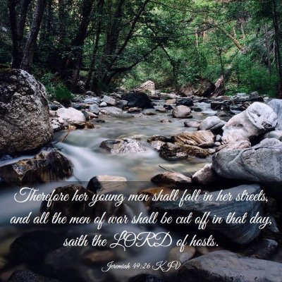 Picture 03 - Jeremiah 49:26 KJV - Therefore her young men shall fall in her - Bible Verse Picture