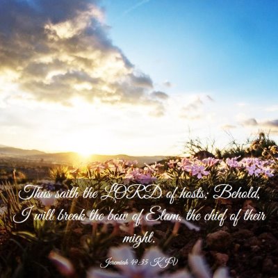 Picture 03 - Jeremiah 49:35 KJV - Thus saith the LORD of hosts; Behold, I will - Bible Verse Picture