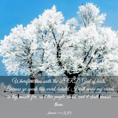Picture 03 - Jeremiah 5:14 KJV - Wherefore thus saith the LORD God of hosts, - Bible Verse Picture