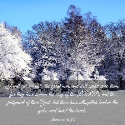 Picture 03 - Jeremiah 5:5 KJV - I will get me unto the great men, and will speak - Bible Verse Picture